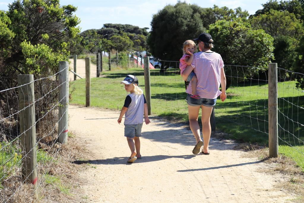 Anglesea Family Caravan Park Eksteriør bilde