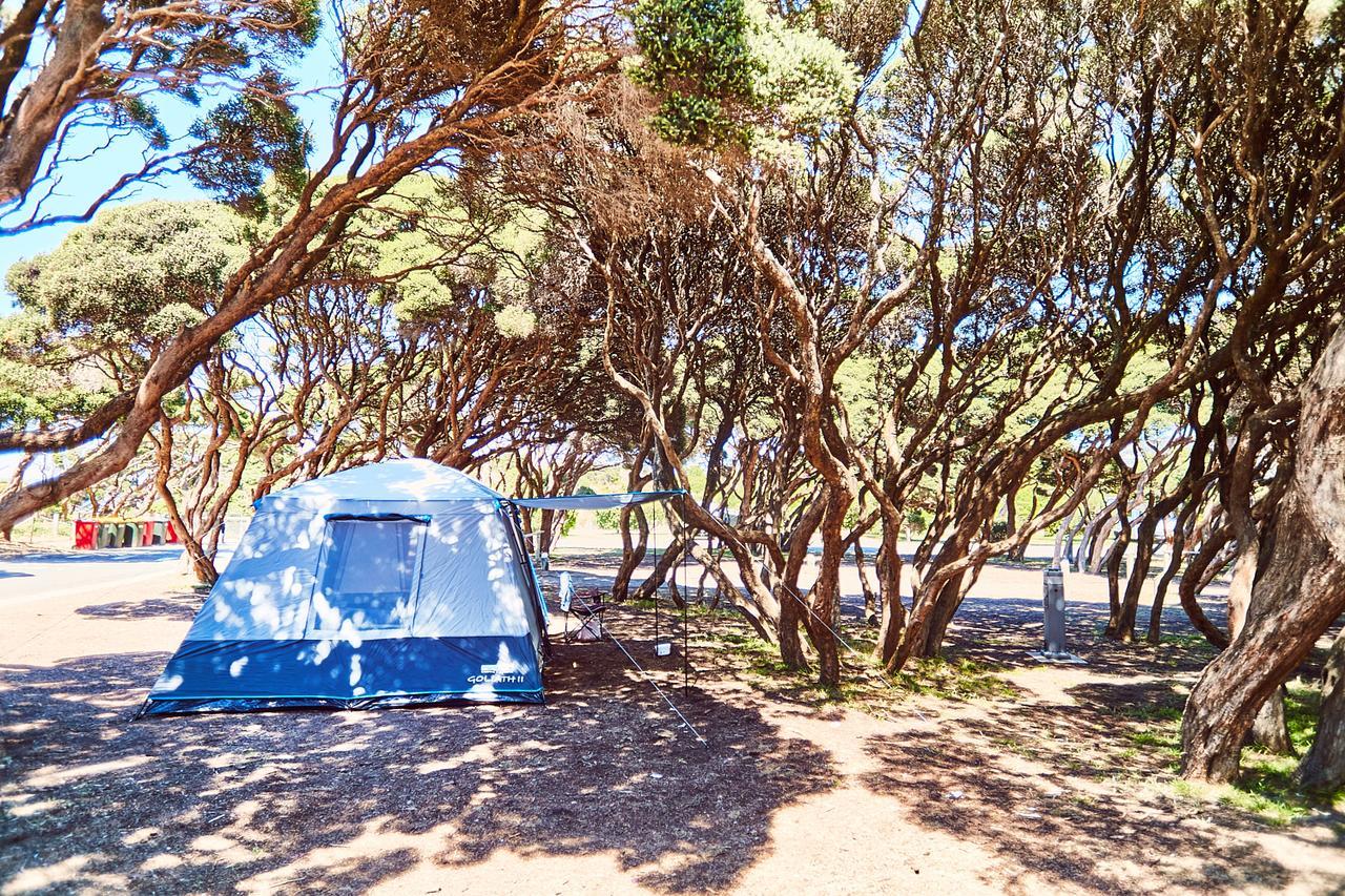 Anglesea Family Caravan Park Eksteriør bilde